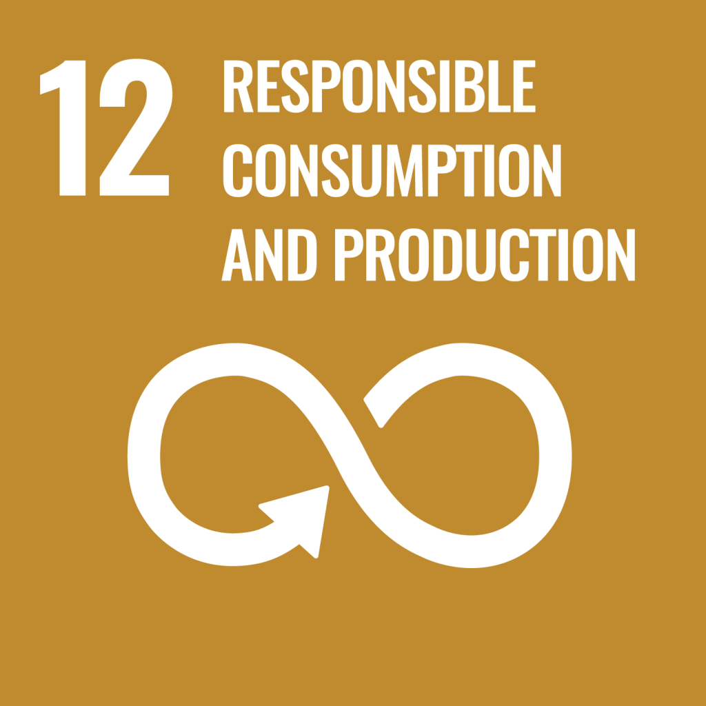 Logo artwork for SDG 12