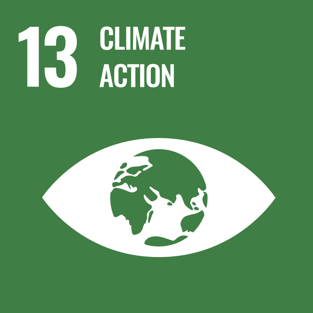 Logo artwork for SDG 13