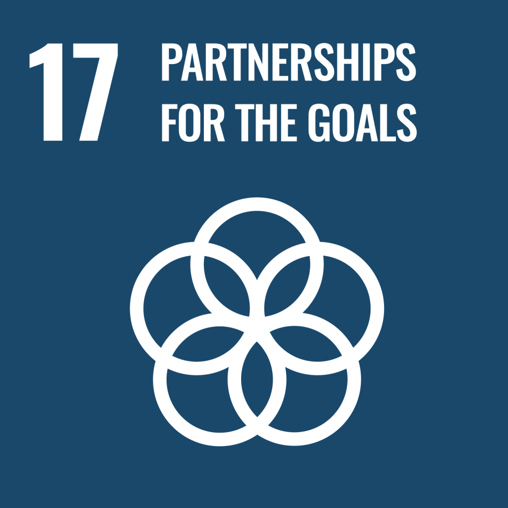 Logo artwork for SDG 17